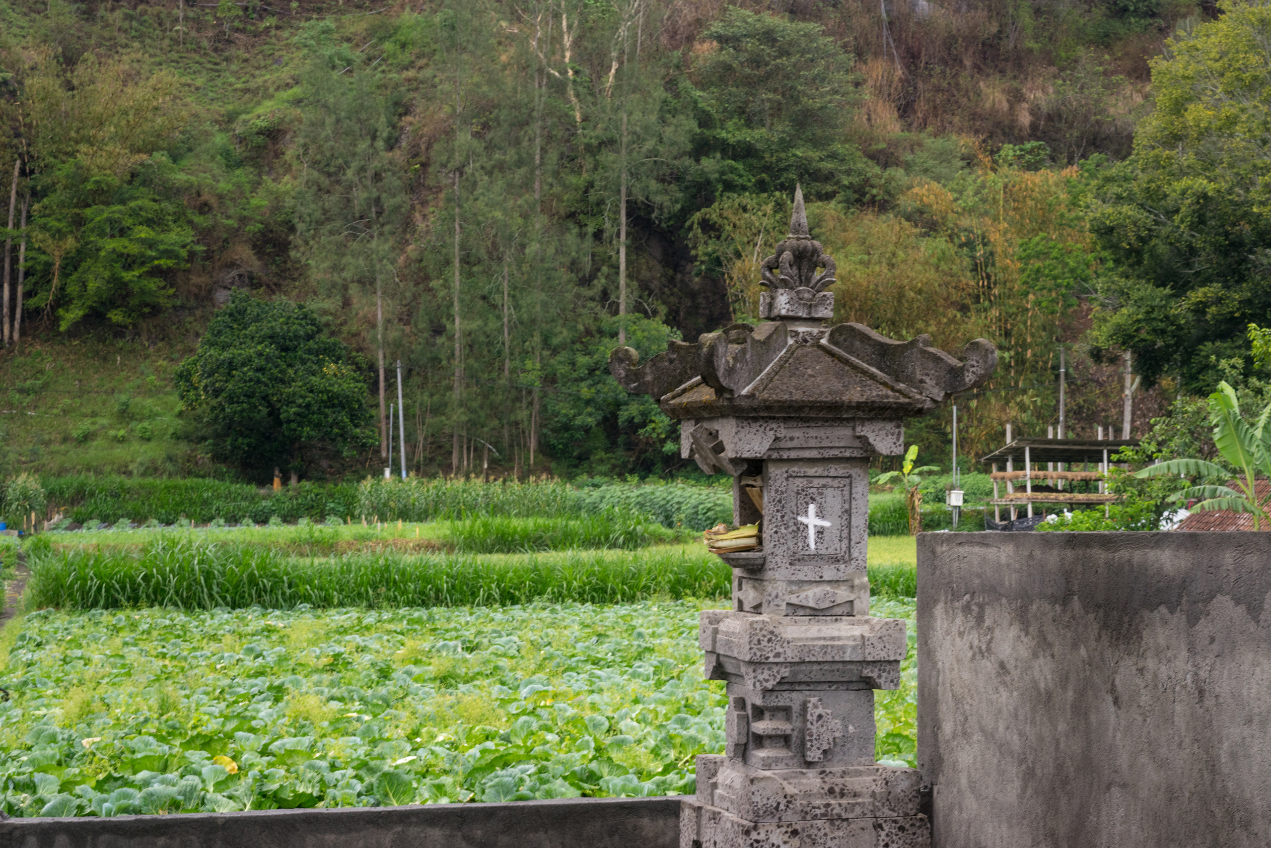 The fields and cliffs and a little shrine seen right behind our guesthouse door