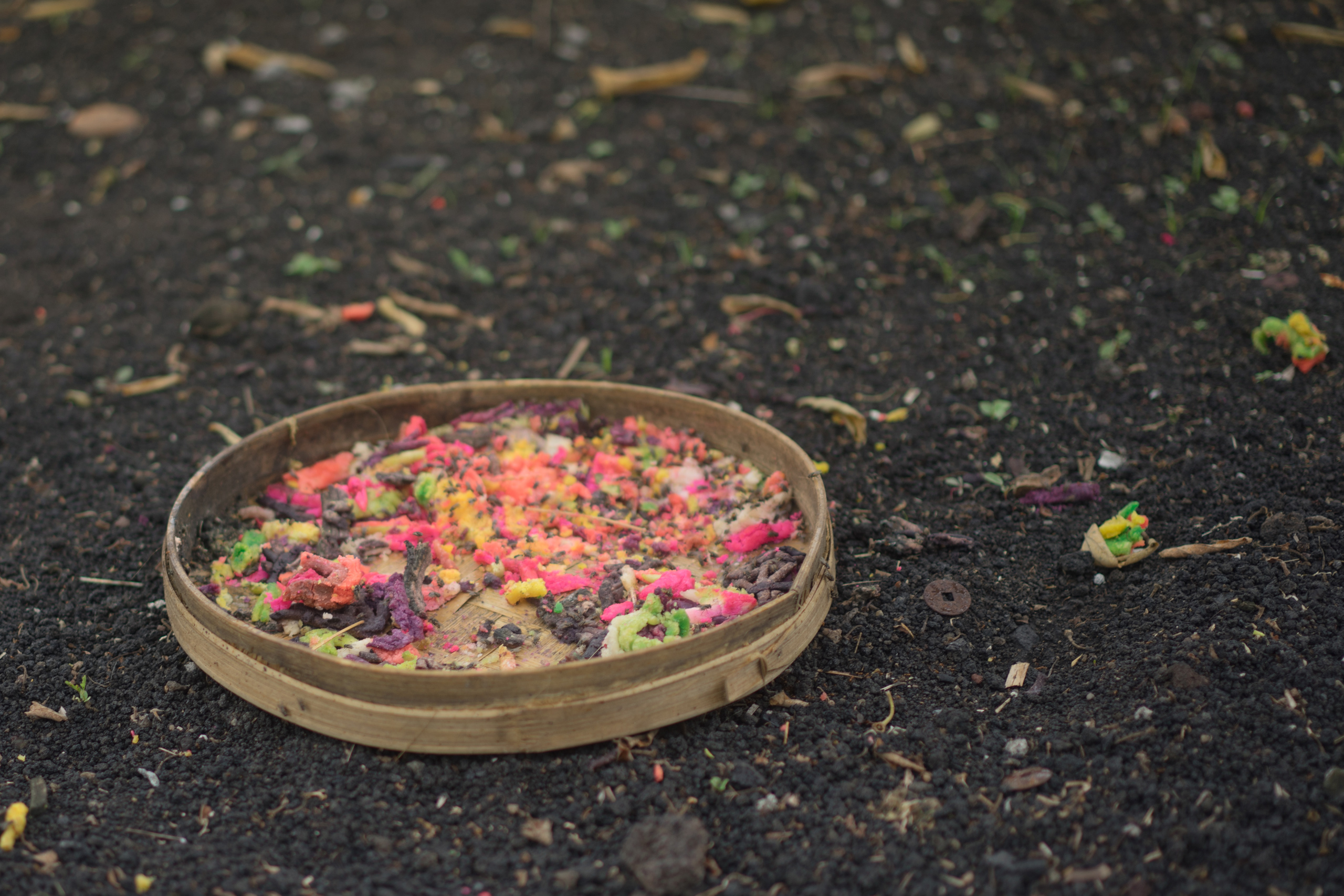 A colorful basket of offerings with 5 flies per square cm
