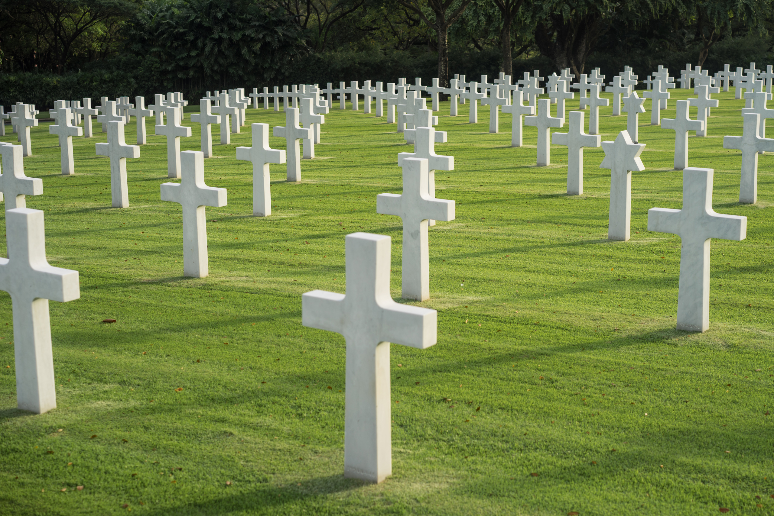 Crosses and Stars of David of fallen WWII casualties