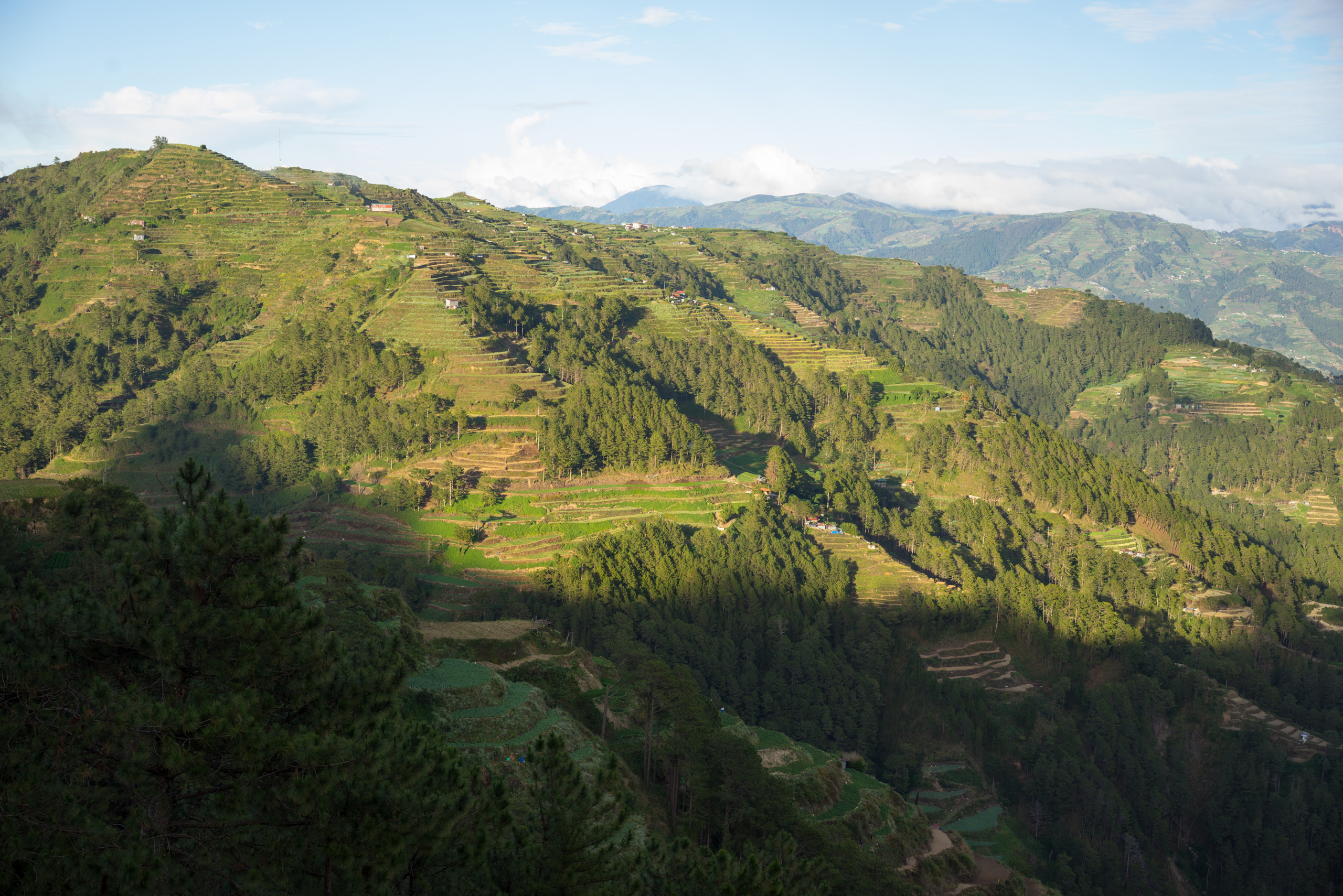 The whole drive up was full of terraced hills everywhere