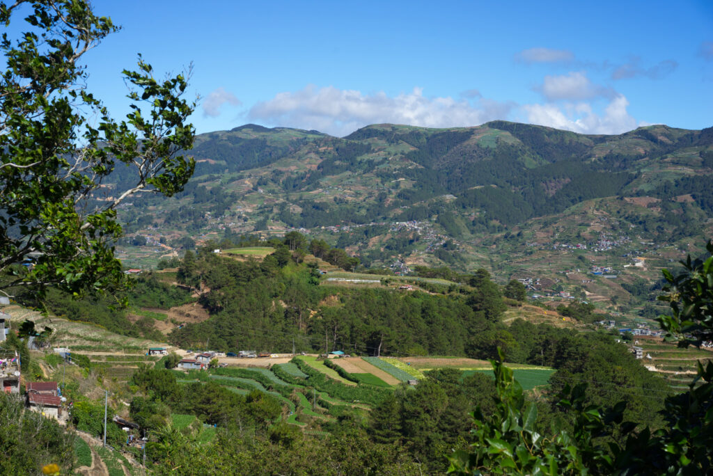 Kaingan