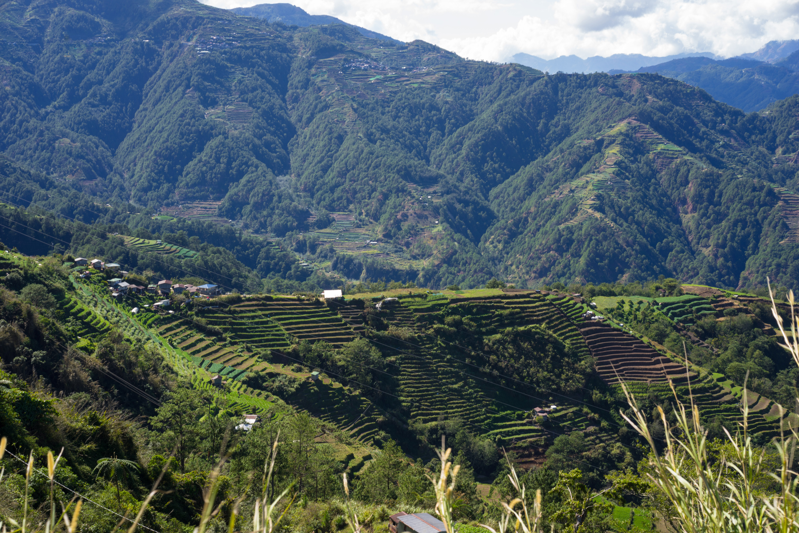 Kaingan Rice Terraces