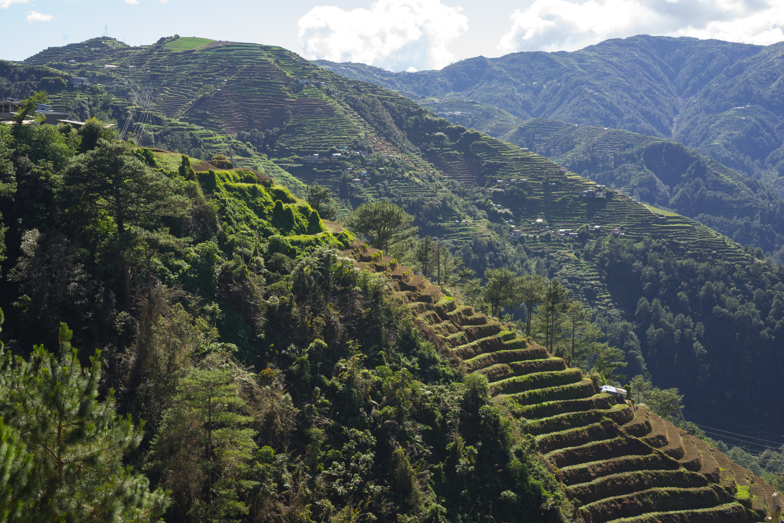 Stairway to Heaven or just more of Kaingan Rice Terraces?