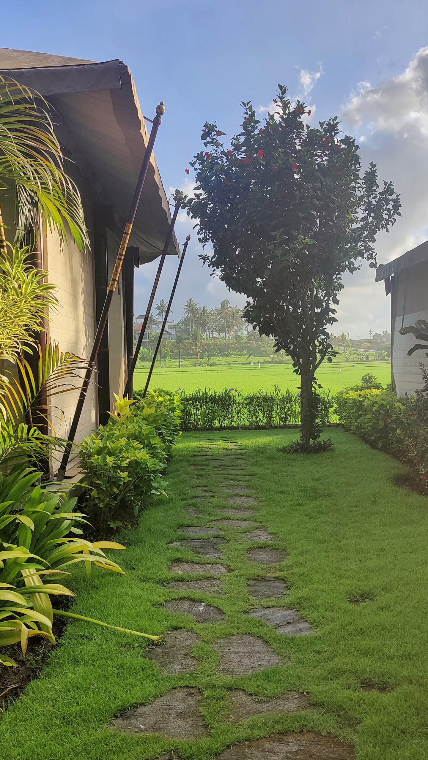 A view from the beautiful Bali Beach Glamping