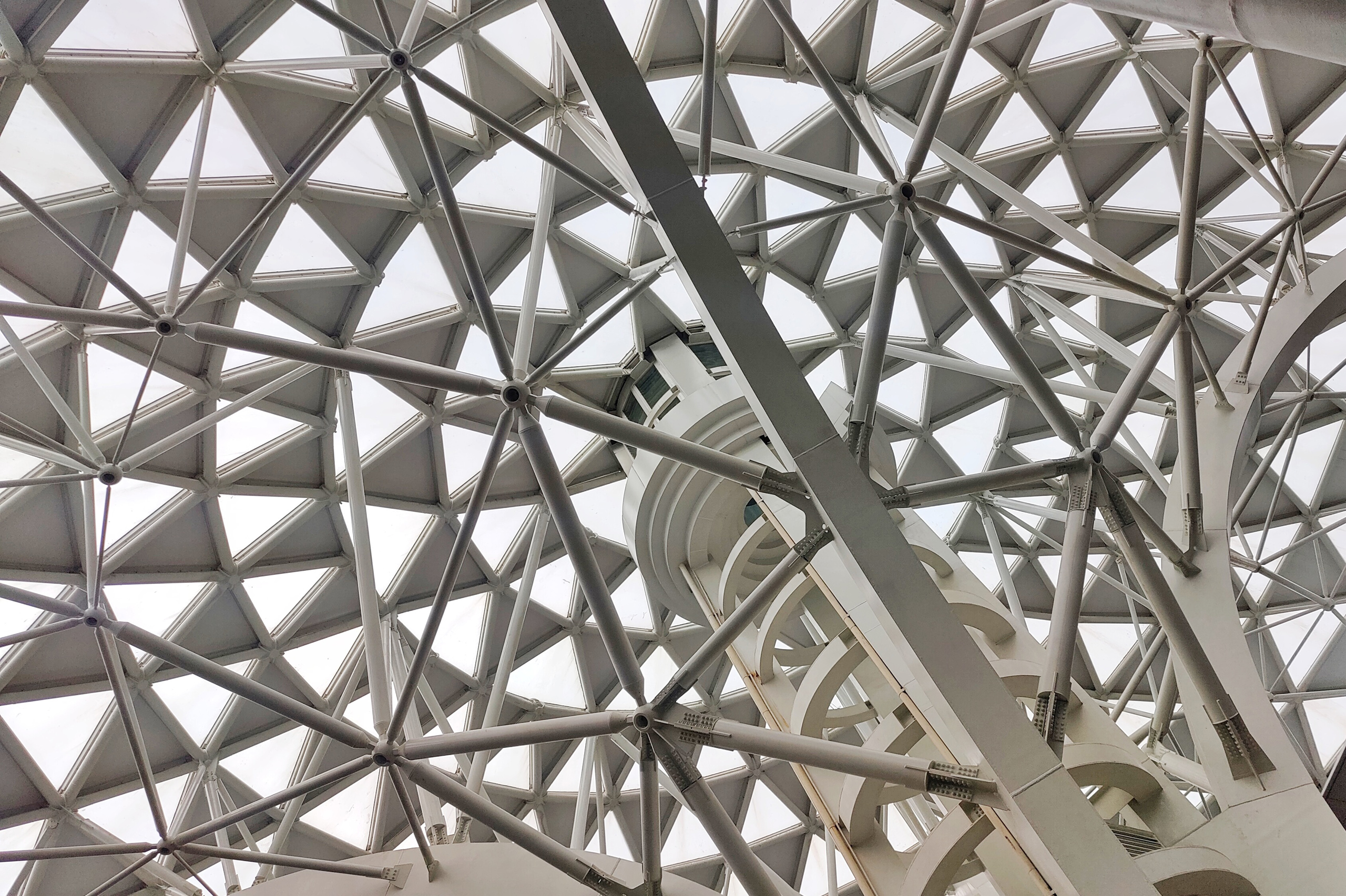 Cool geometric ceiling inside the Natural History museum